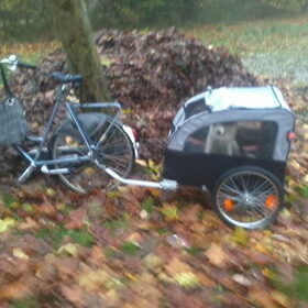 en weer terug naar huis in de hondenkar :D