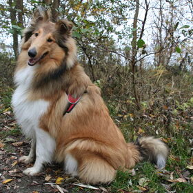 Lekker Fluffy in het bos @ 34 weken