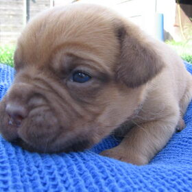 Schattig eh!