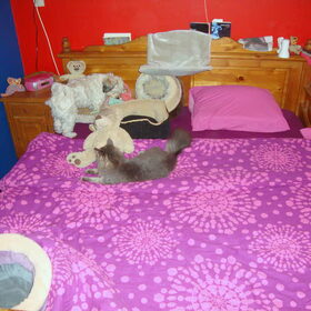 Lekker op bed relaxen