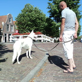 In Harlingen