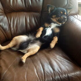 Lekker chillen op de stoel