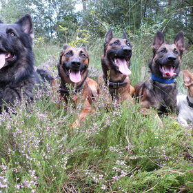 PFFFFFF Dat vrouwtje van ons..........Elke wandeling moet er een…