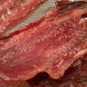 runderlip met kimmels