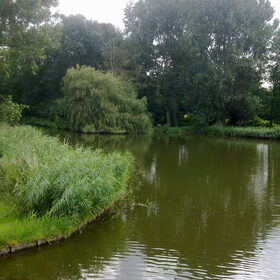 Noordsterpark Wormerveer Losloopgebied Zaanstad. (Wormerveer)…