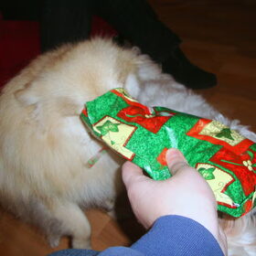 Cloudy ook cadeautje uitpakken