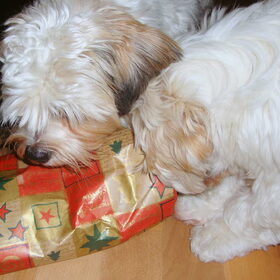 Cadeautje uitpakken