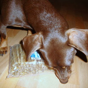 Camila ook blij met cadeautje