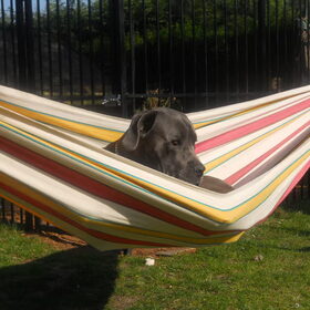 relax