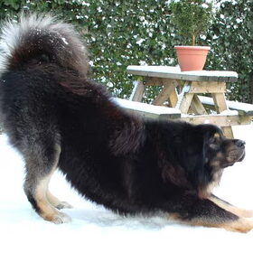 Norbu witner 2010