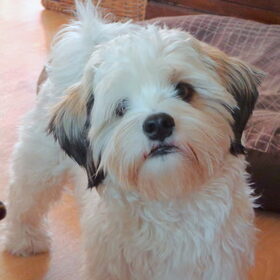 Lieve Manneman