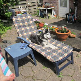 een echte poolhond....