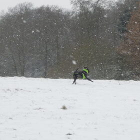 sneeuw