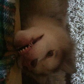 wat is hij mooi!!! :D of nie?