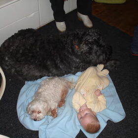 Sjenna en Daisy samen met mijn zoontje.