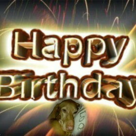 Csoki 7 jaar. Made by: Rossi.