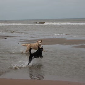 Let's jump!