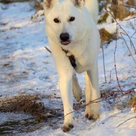 Casje in de sneeuw!