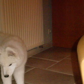 mikai 16/12/12