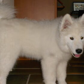 mikai 16/12/12