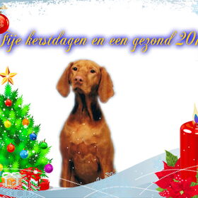 Made by: Hanne.