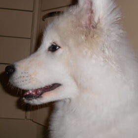mikai 16/12/12