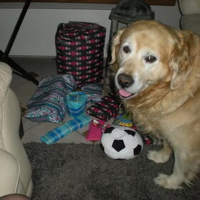 Hondenfoto van Shana & Rocky