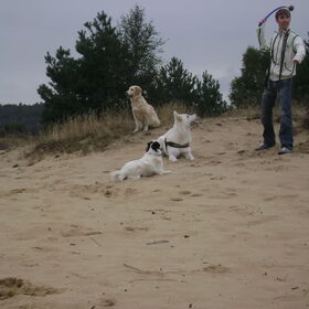 Hondenfoto van Chocomelk van Jessy & Storm en ***Blondie & Tara***