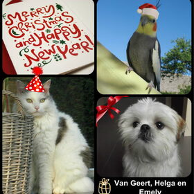 Hondenfoto van Emely, Bently's baasje