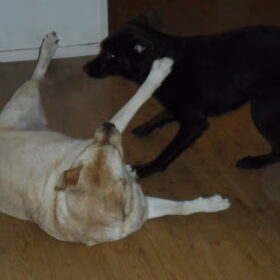 Djuna & Buffy