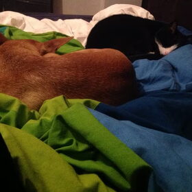 Samen slapen (en heeeeel hard snurken)