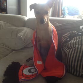 Hup holland