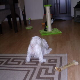 Chickaaaaaaa hier ben ikkkkk, kiekeboe