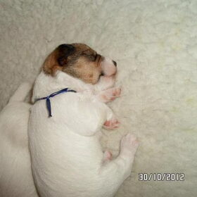 Toen was ik heel klein en ook nog super lief!