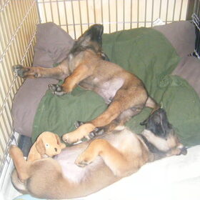 twee maanden oud, wat waren ze lief ....