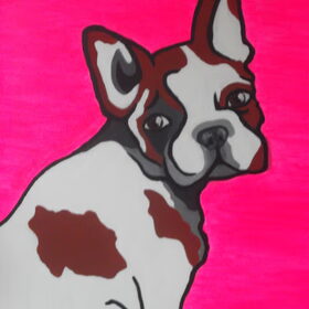 Franse bulldog
