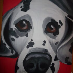 dalmatier