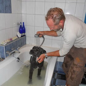 SCHOON MET KATTENSHAMPOO ??