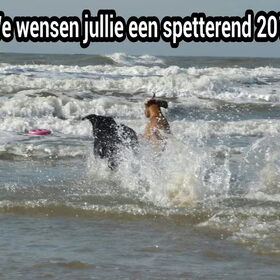 Hondenfoto van Eef en Tjibbe