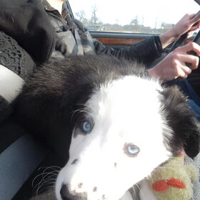 spannend in de auto