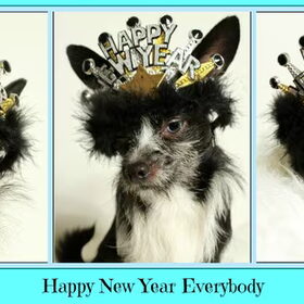 Mijn modelletje zegt Happy New Year iedereen!