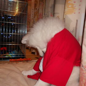 mikai met zijn trui om niet aan de naad te lekken 29 december