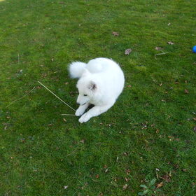 mikai 30/12/12