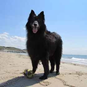 Heerlijk aan het strand