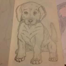 Een hondje getekend