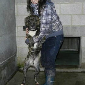Met Bullit