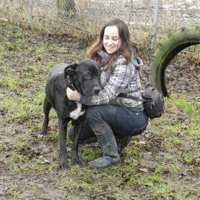 Met Bailey op de wei