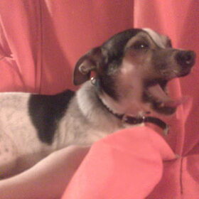 gaap gaap