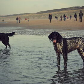 strandwandeling
