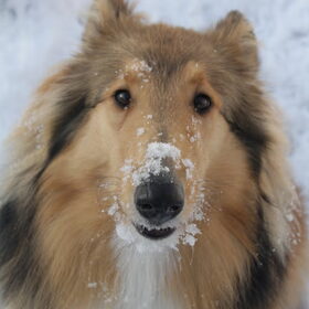 Ik?!? Sneeuw gegeten? Nee.. @ 37 weken